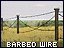 Barbed-Wire Barrier