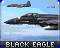 Korean Black Eagle