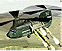 Combat Chinook